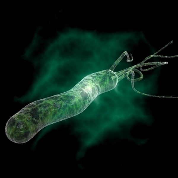 Хеликобактер пилори (Helicobacter pylori)